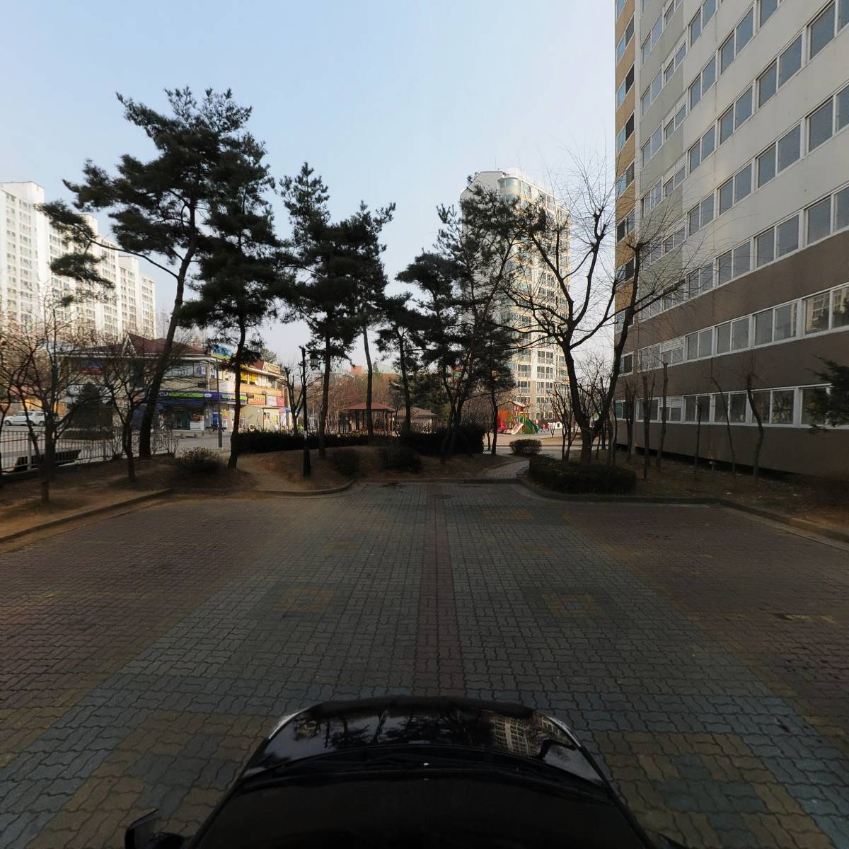 솜(SOM)_4
