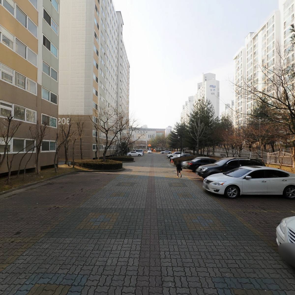 솜(SOM)_2
