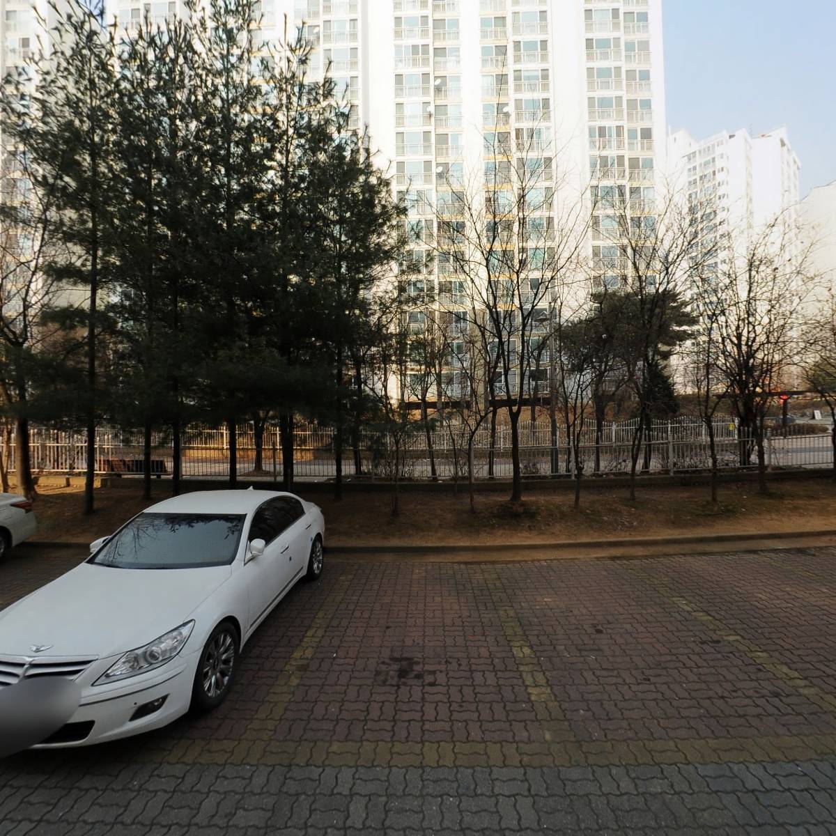 솜(SOM)_3