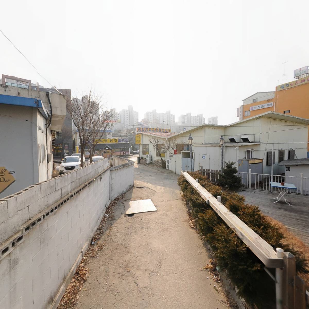 장호덕 손만두_2