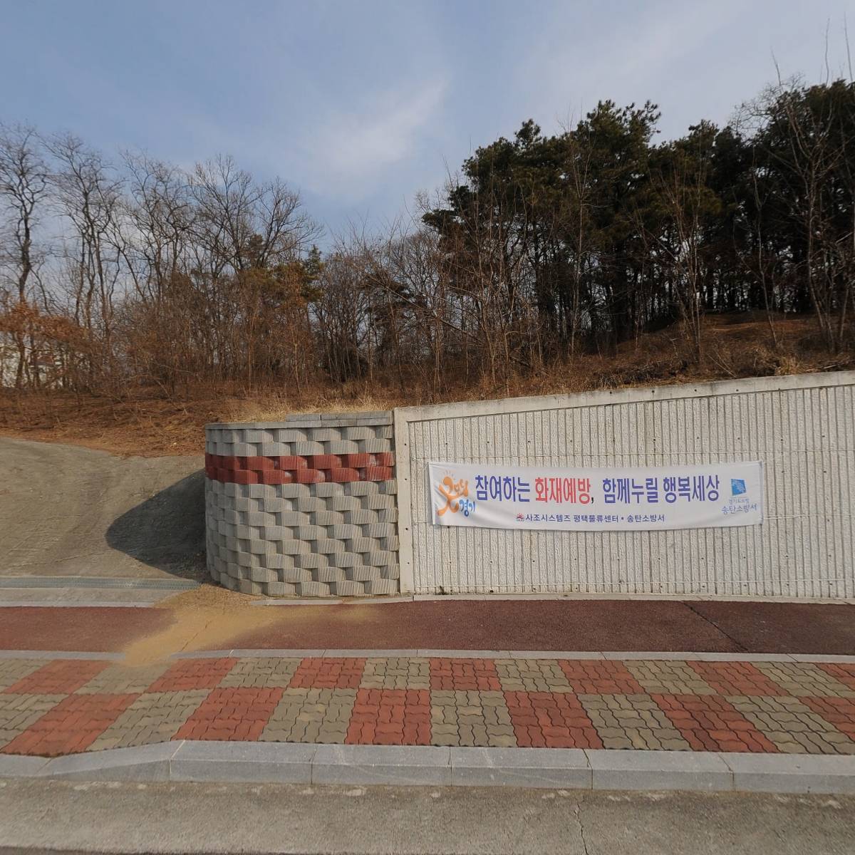 전수화