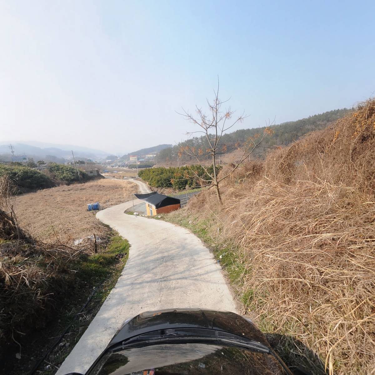 한국분재조합전남지부_4