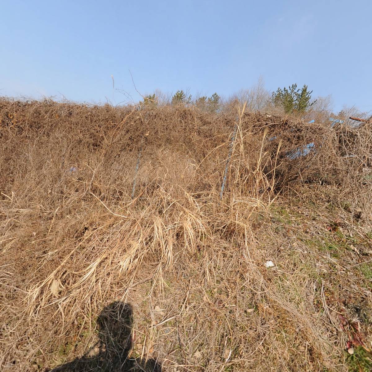 한국분재조합전남지부