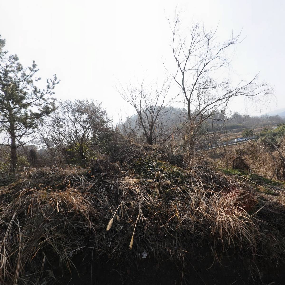 한국분재조합전남지부_3