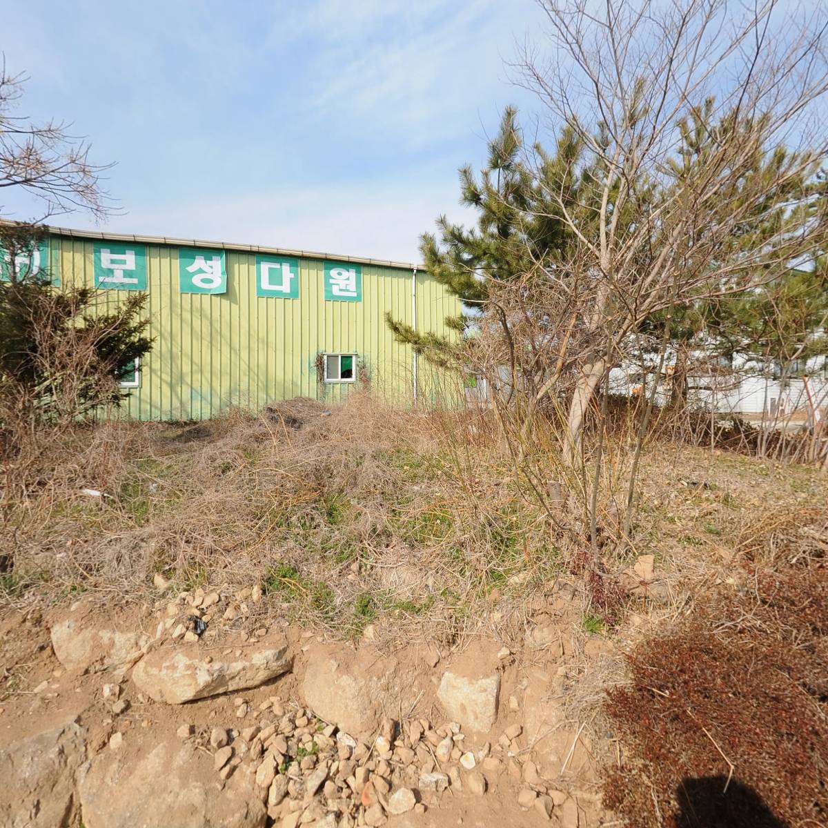 보성다원_3