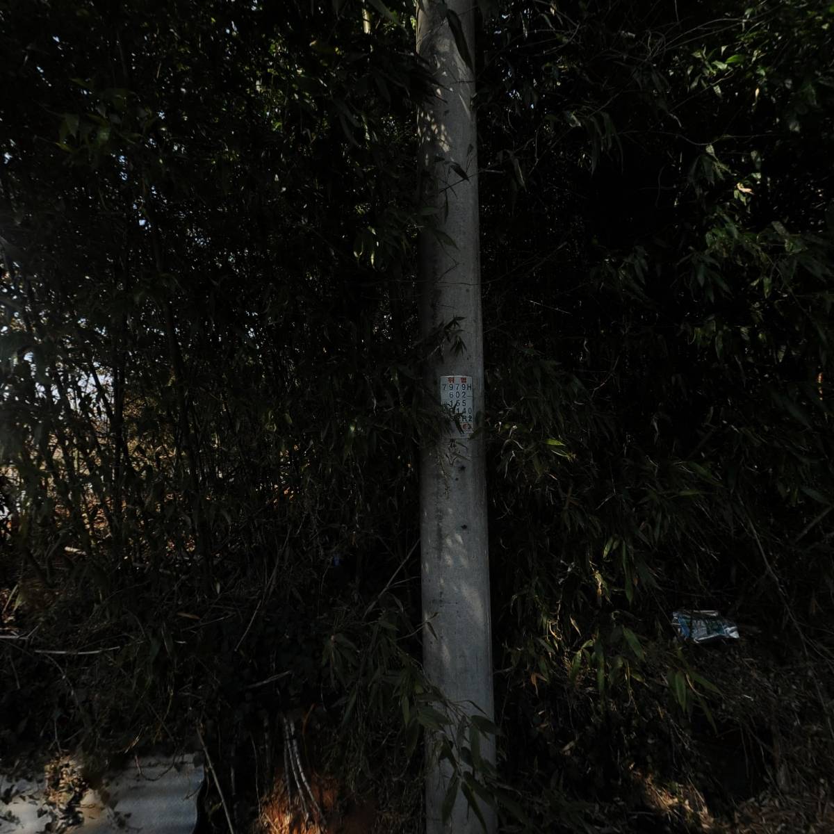 농업회사법인 주식회사 원두막_3