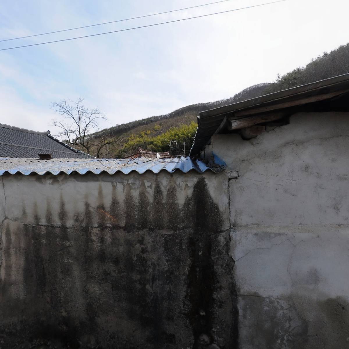 목천장씨 첨추공파종친회_3