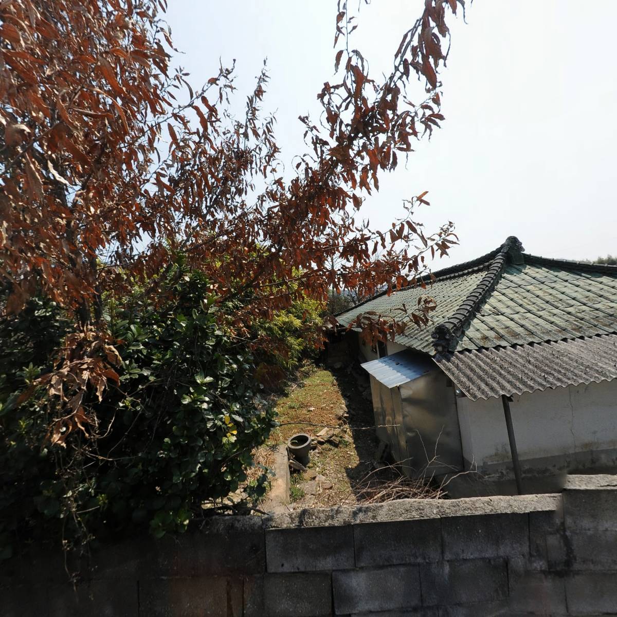 주식회사 엔엔지아이티