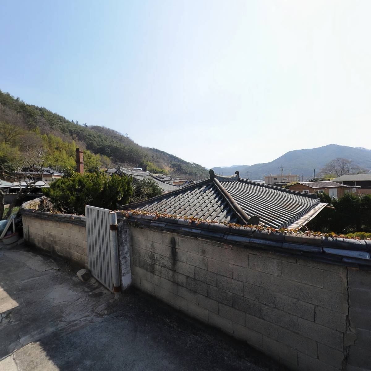 통글로벌