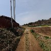 자은해변승마장_2