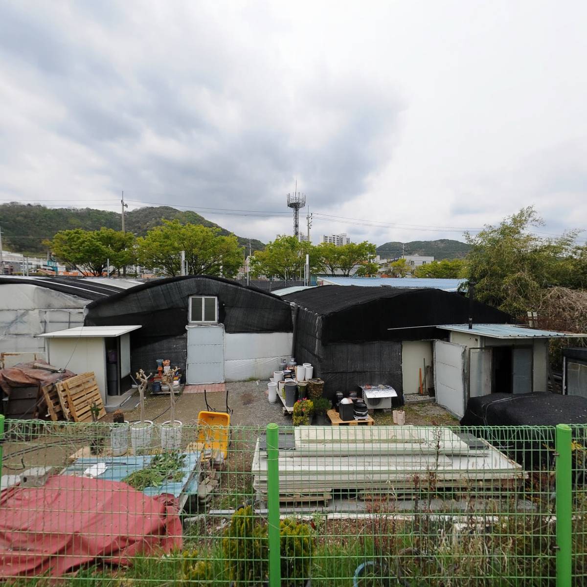 삼성식물원