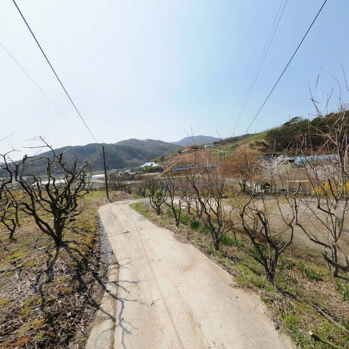 전국운전강사검정원협동조합연합회_2