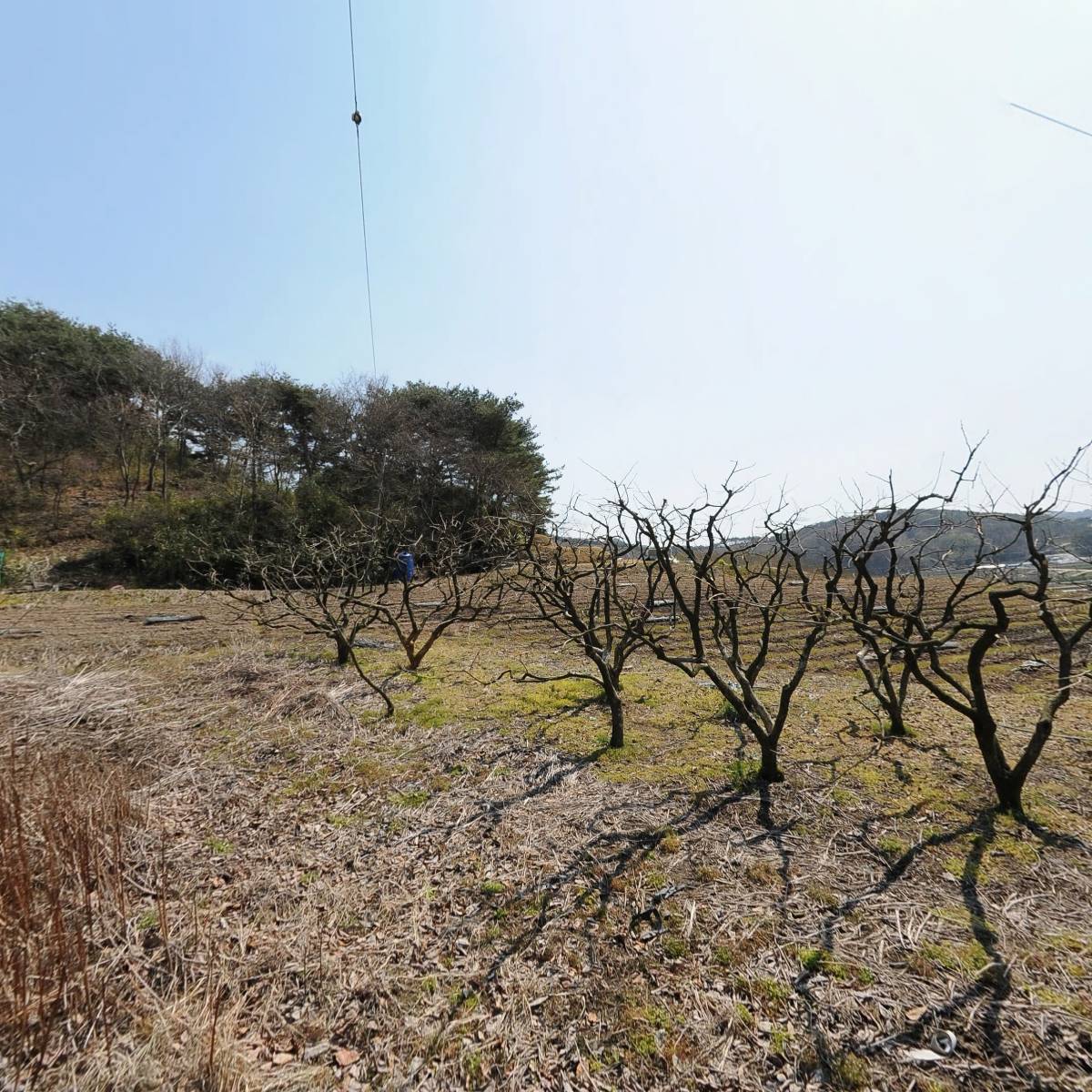 전국운전강사검정원협동조합연합회