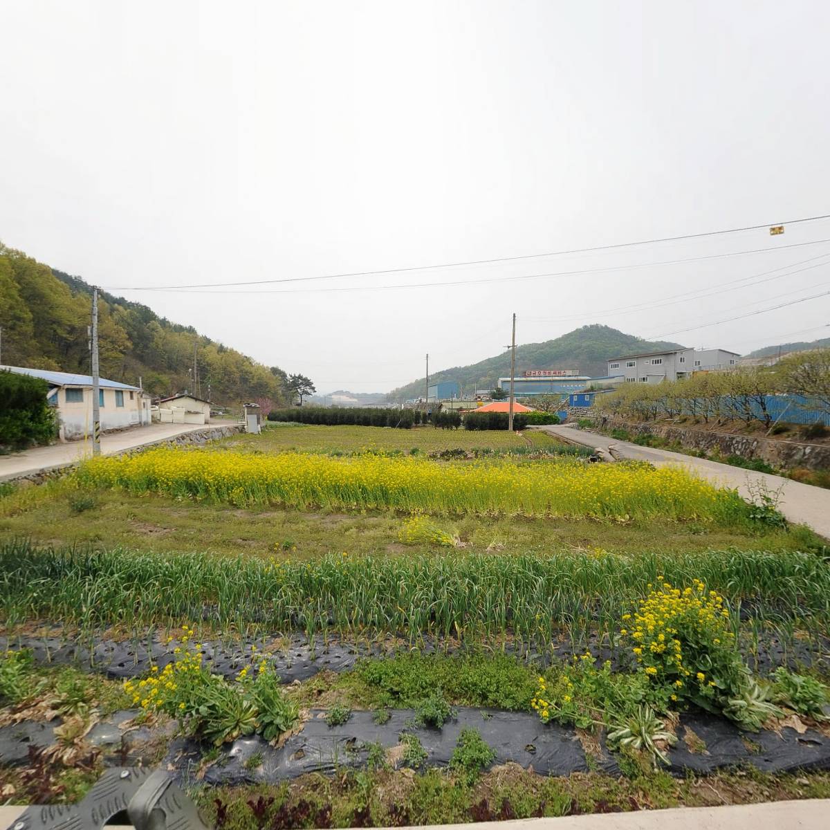 (주)천우산업개발