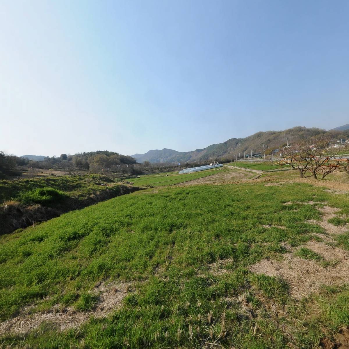 석곡농업협동조합 장례식장_3