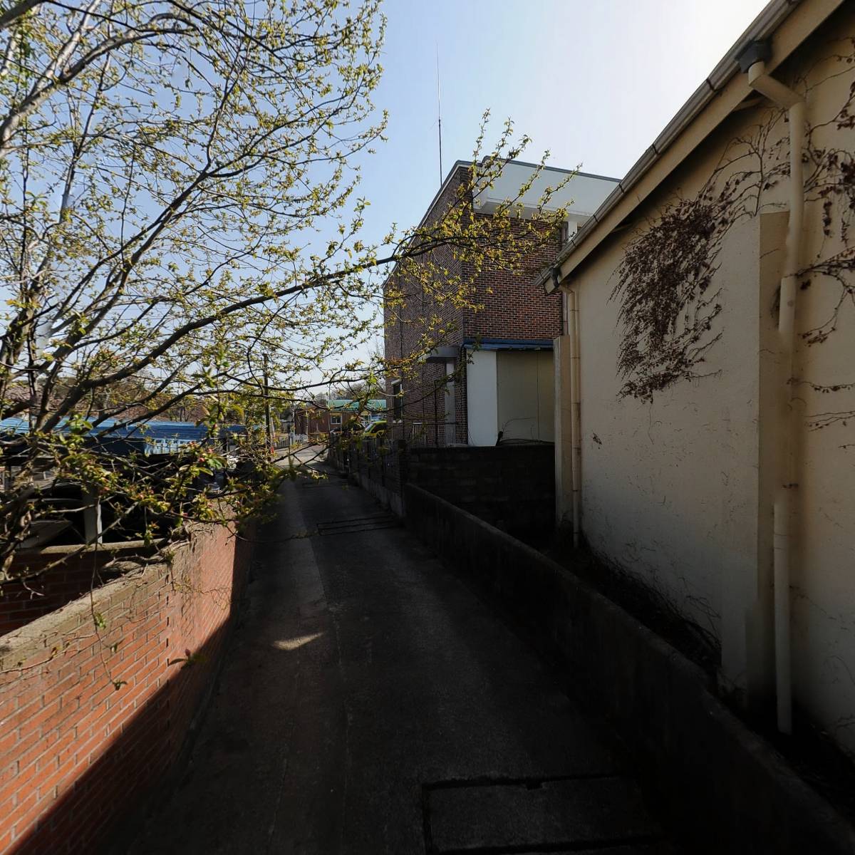 장성농업협동조합서삼지점_2