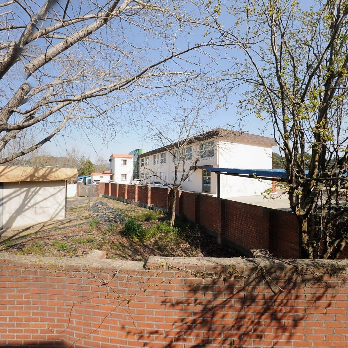 장성농업협동조합서삼지점