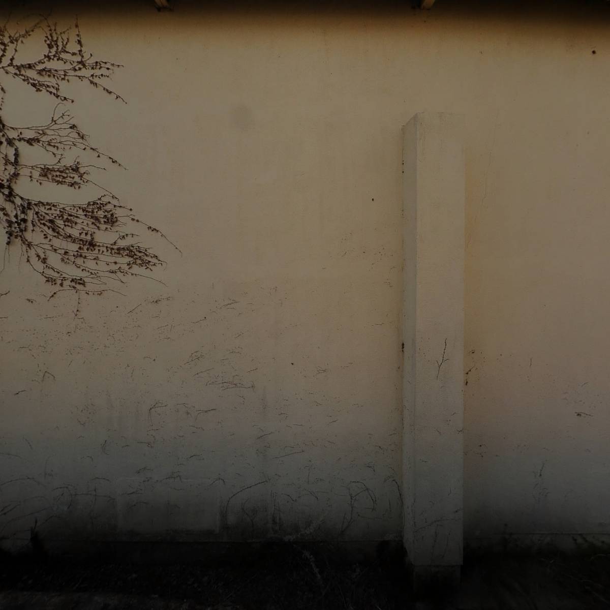 장성농업협동조합서삼지점_3