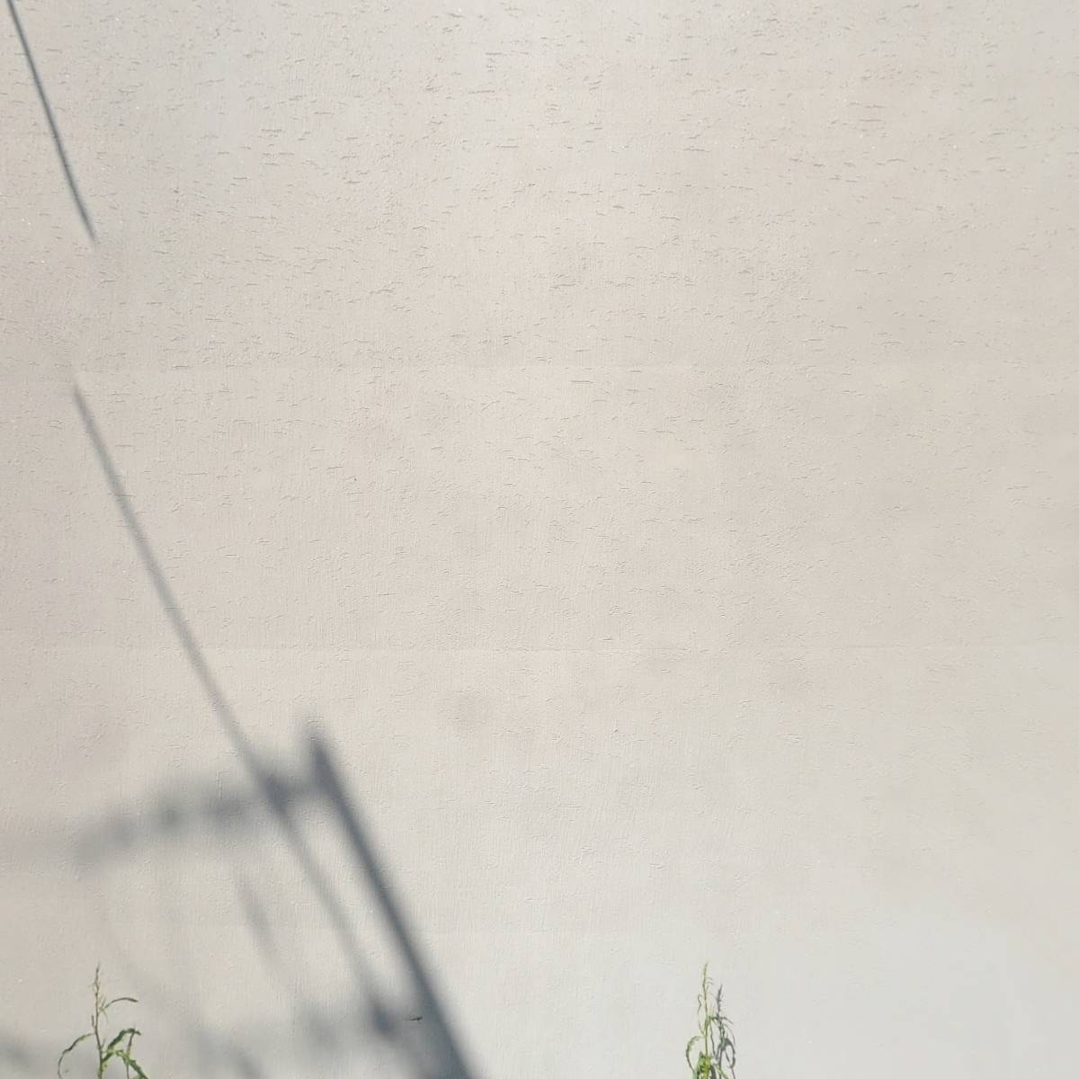 (주) 백가푸드_3