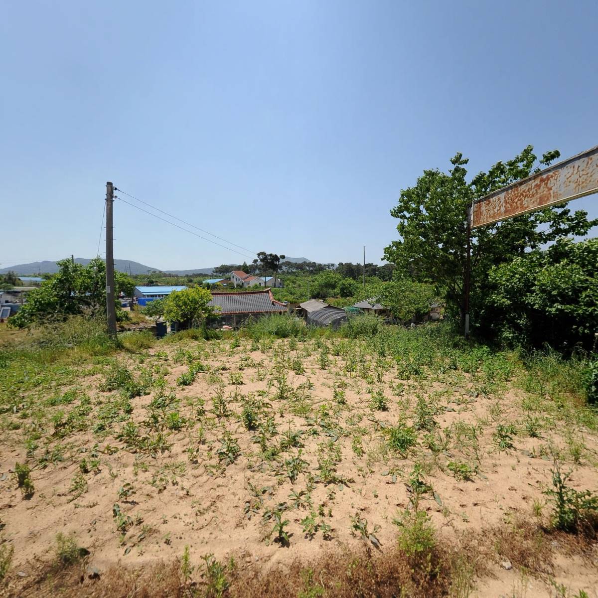 쌀팜
