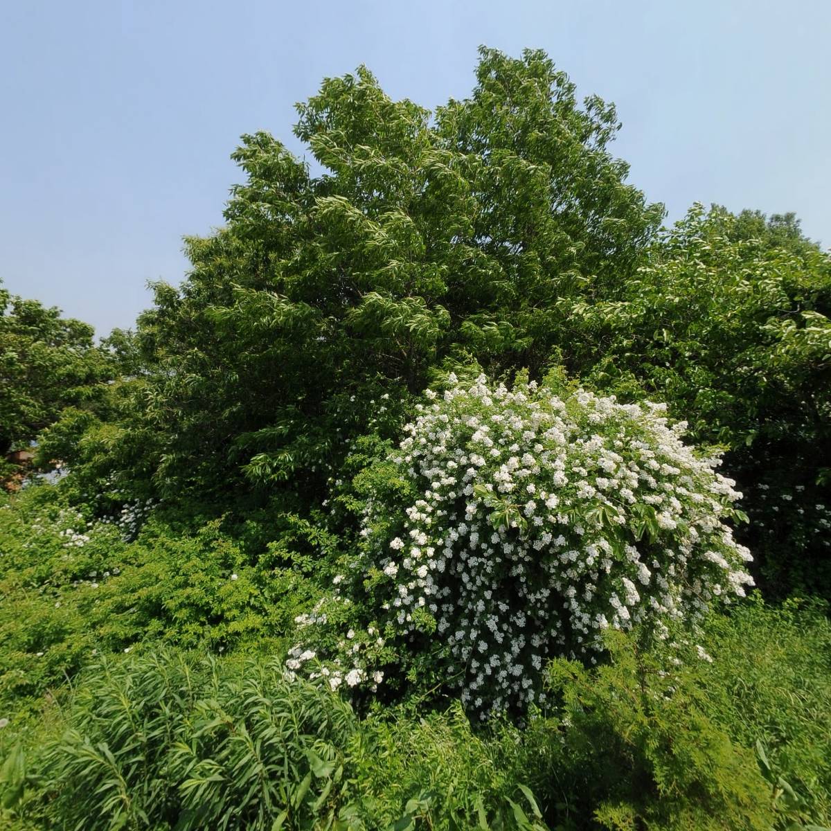 아라주유소 (유)상우우리주유소