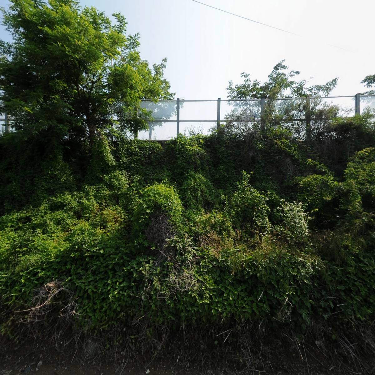 노인요양시설 시니어랜드_3