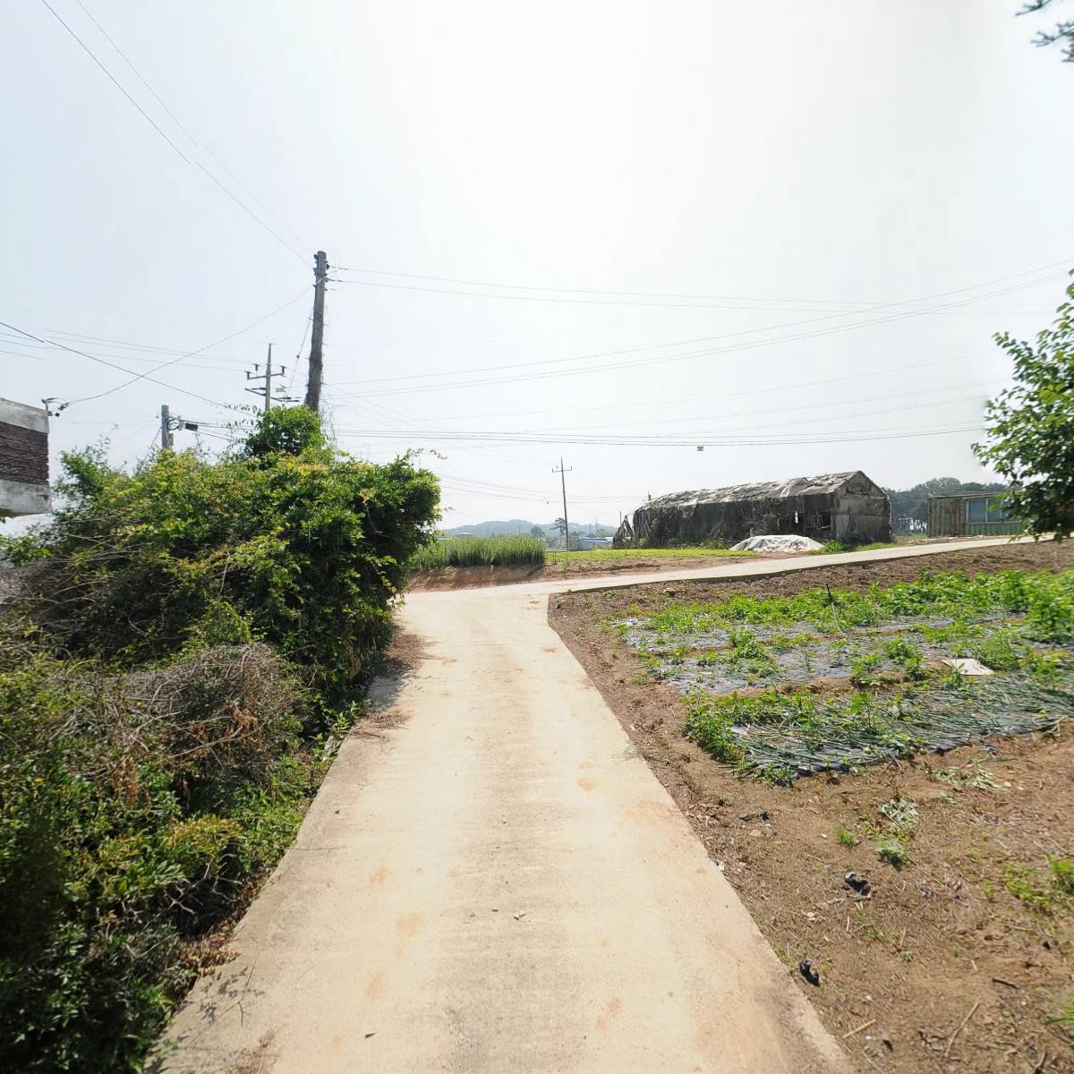 에덴농장_2