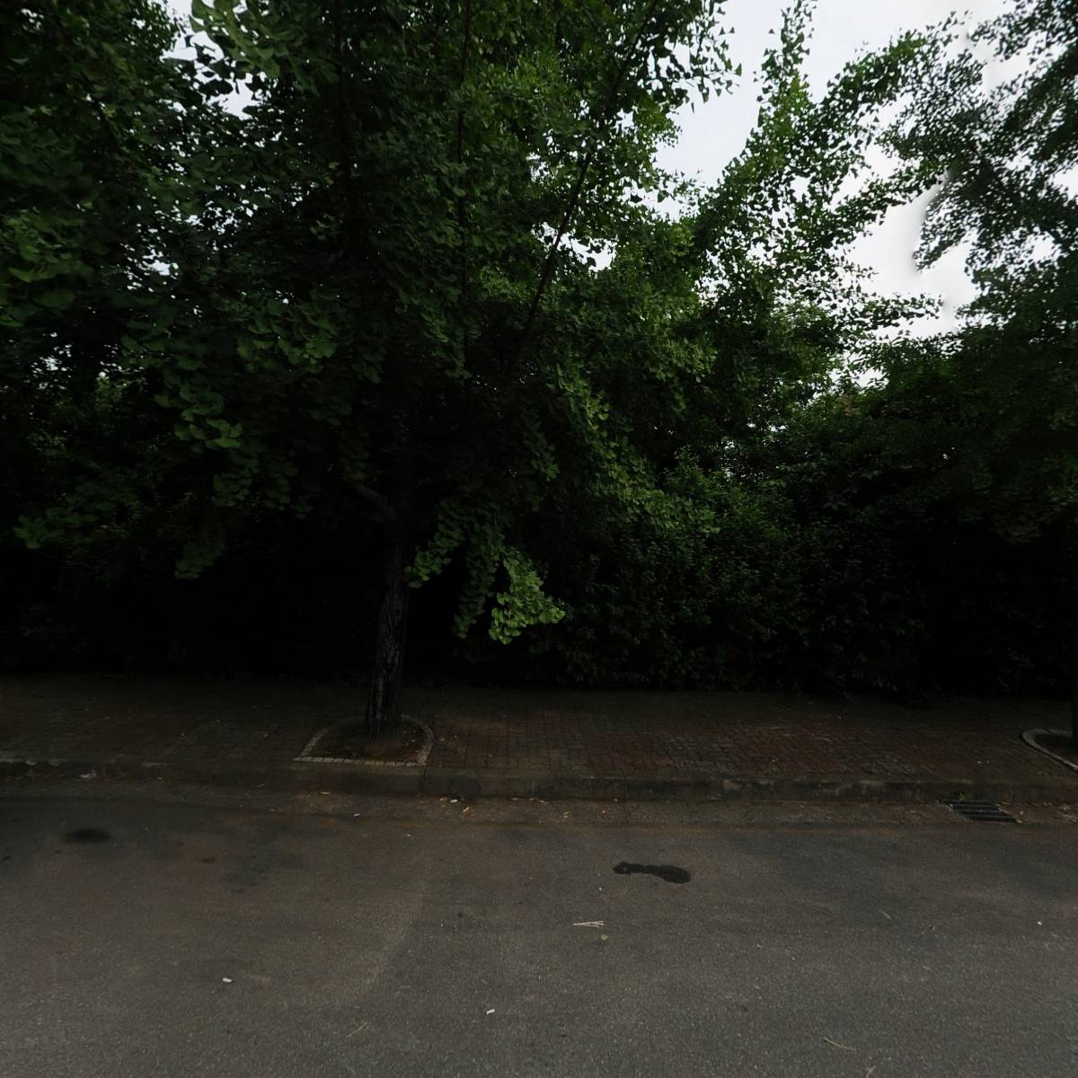 （주）진푸드시스템_3