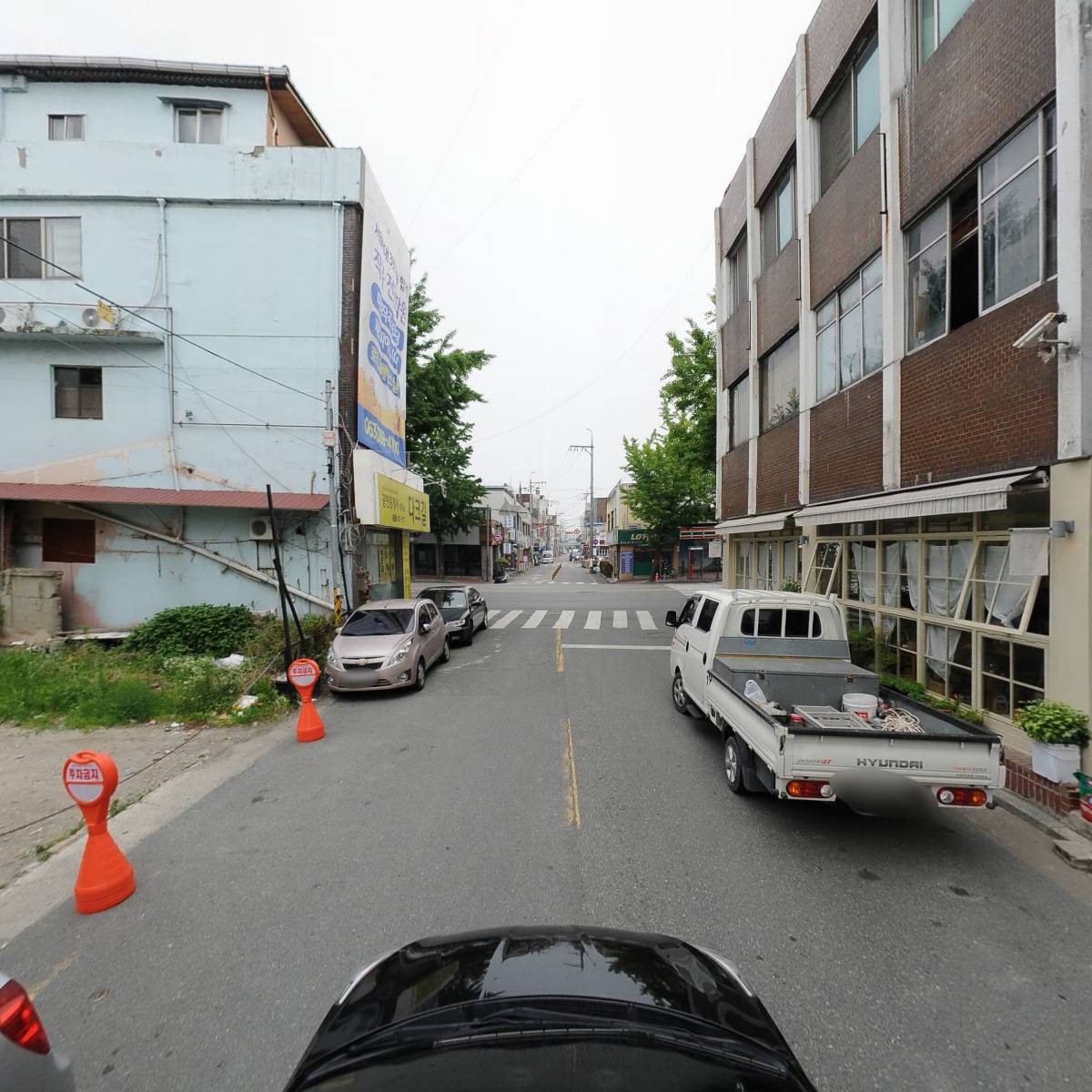 동물의료센터청십자_4