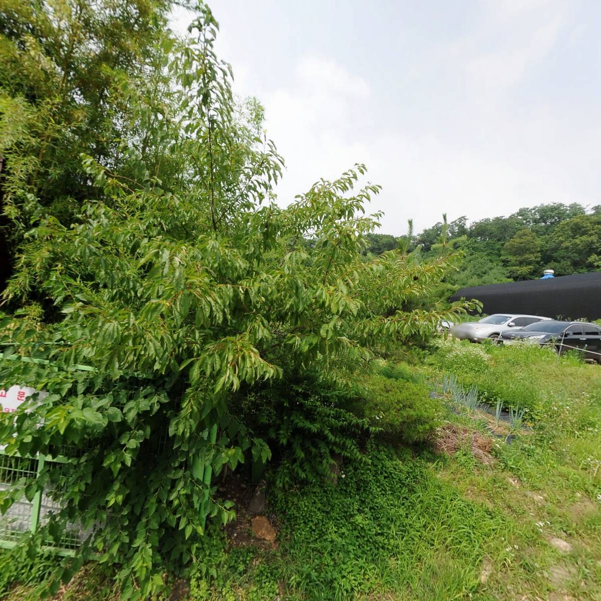 주식회사 디코시스트