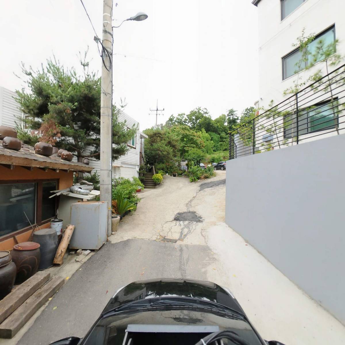타르트문_4