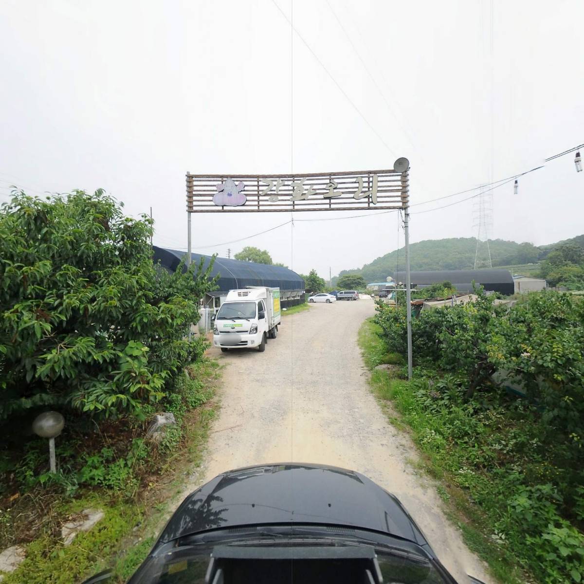 강화_4