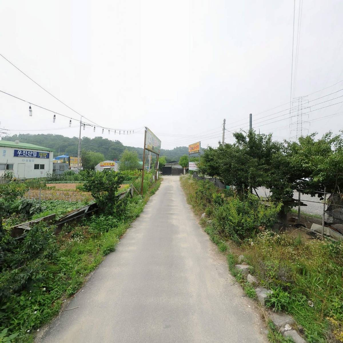 강화_2