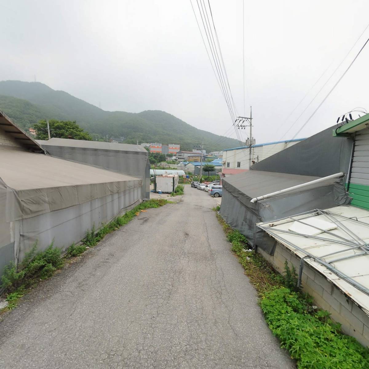 주식회사 디즈니랜드_2