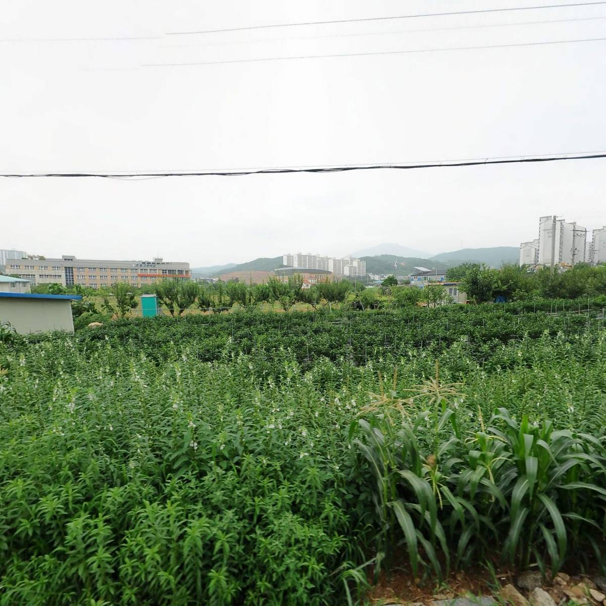 사단법인 미래자동차인재개발원_3