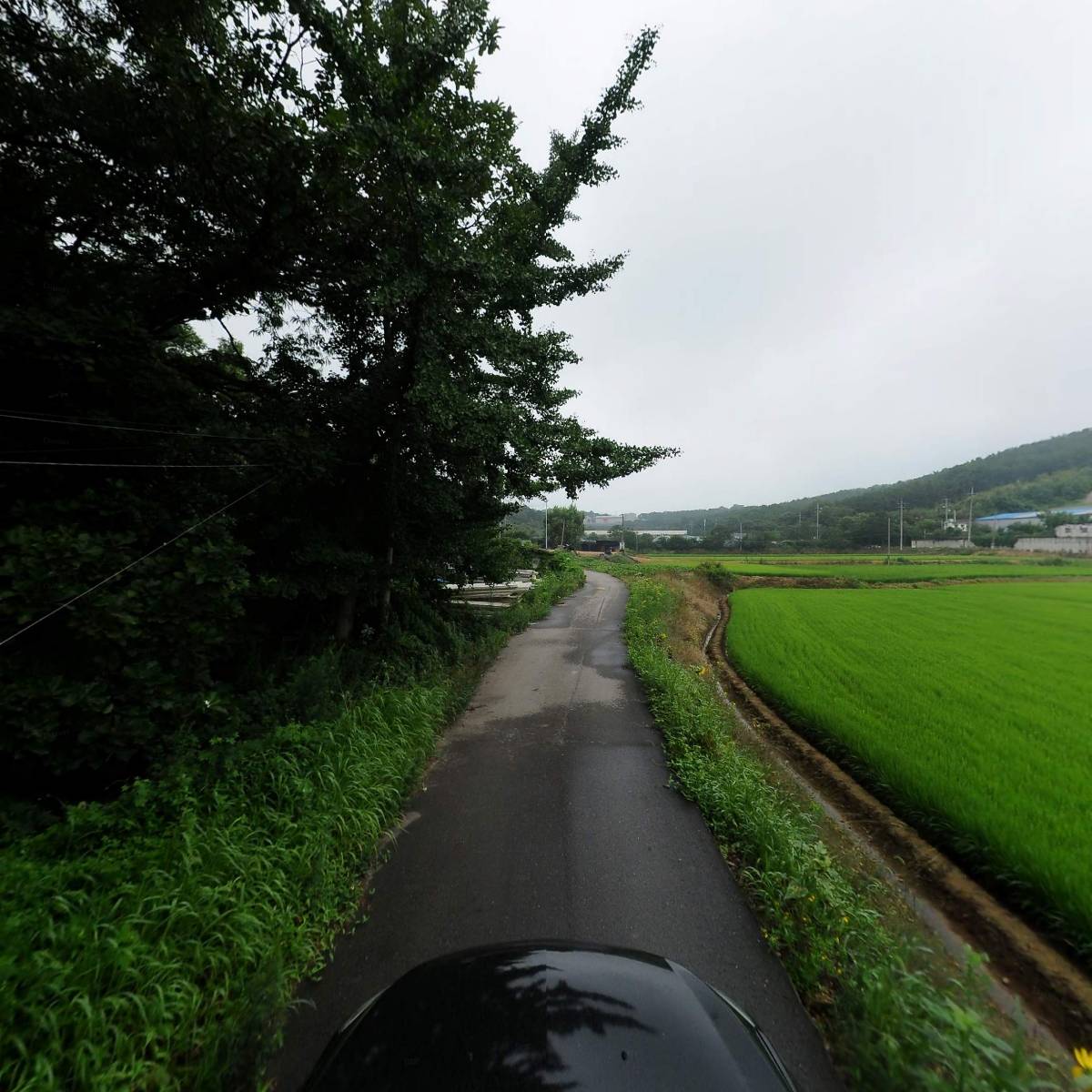 (주)본코퍼레이션_4