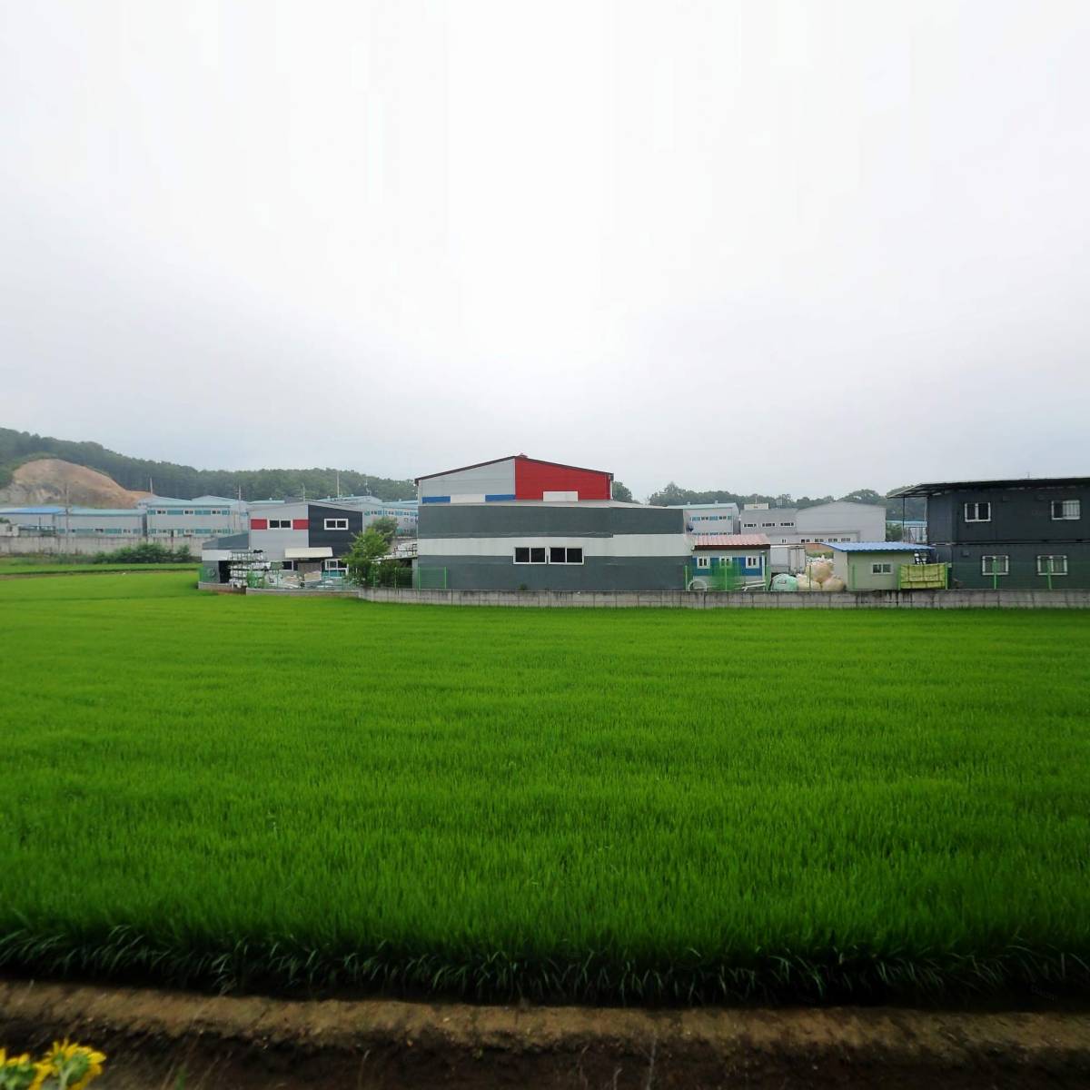 (주)본코퍼레이션