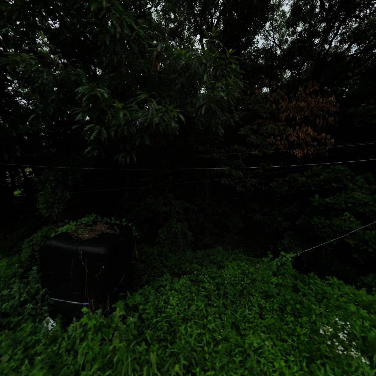 (주)본코퍼레이션_3