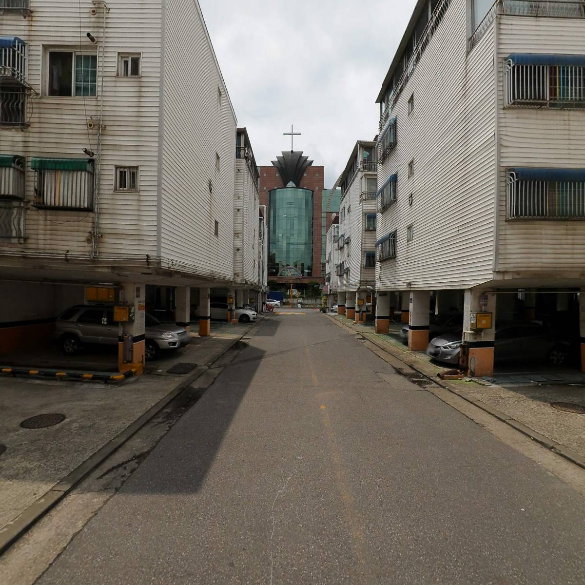 골드러빈_2