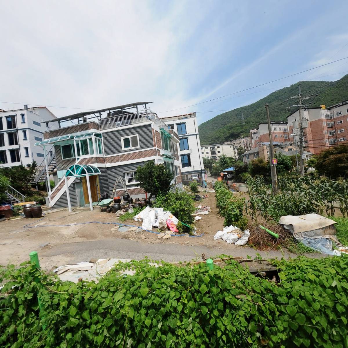 바다장독