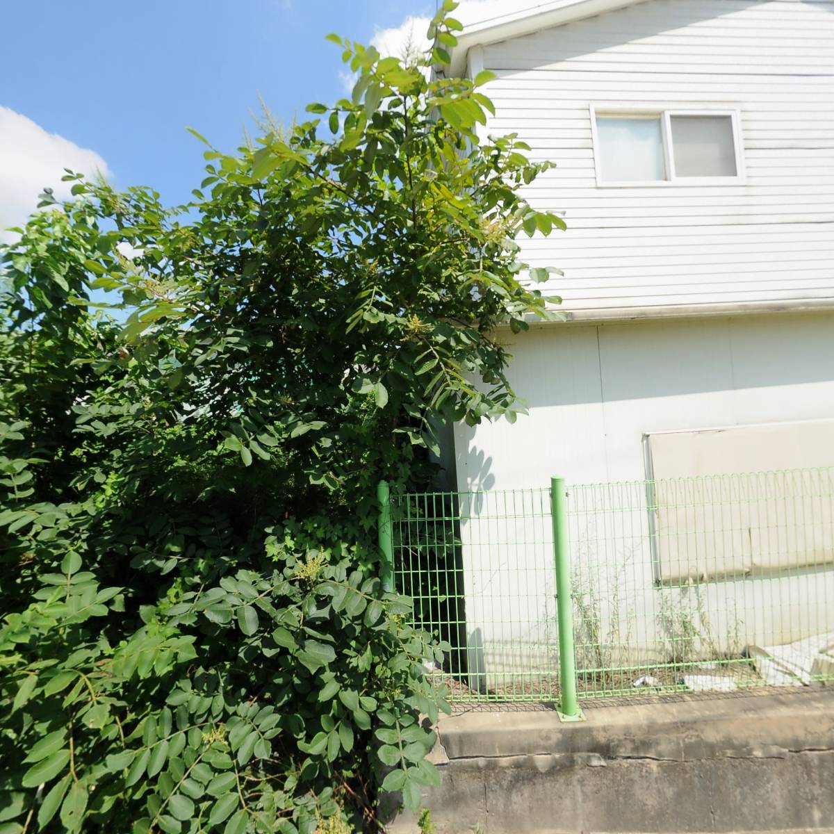 (주)태성글로벌_3