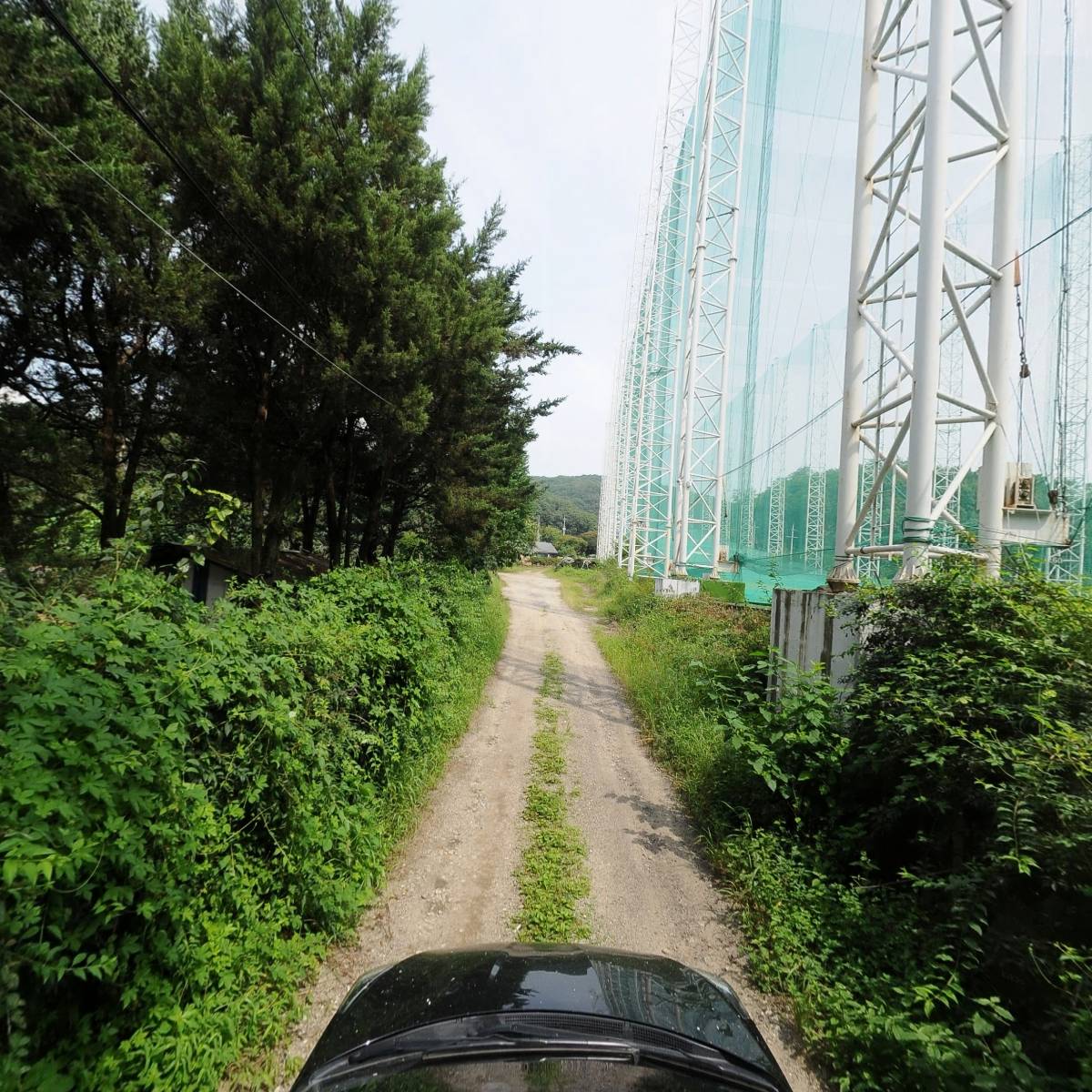 금토일스포렉스_4