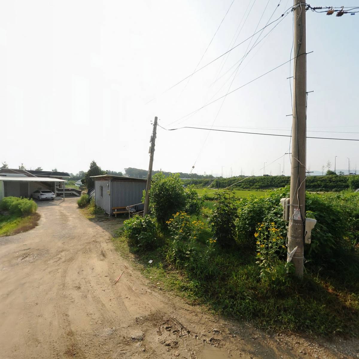 디피 카페