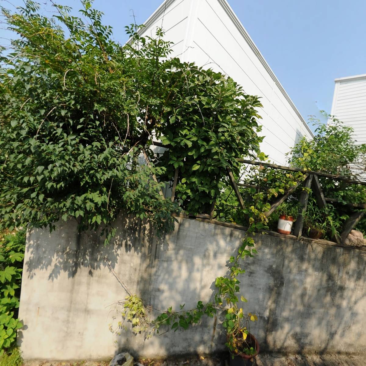 키트리_3