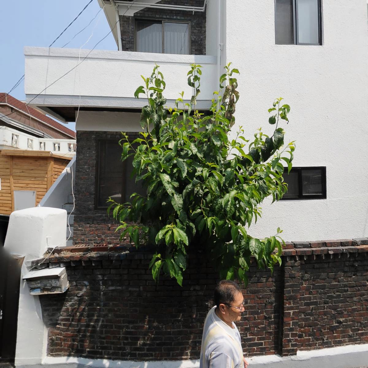 가야네트워크