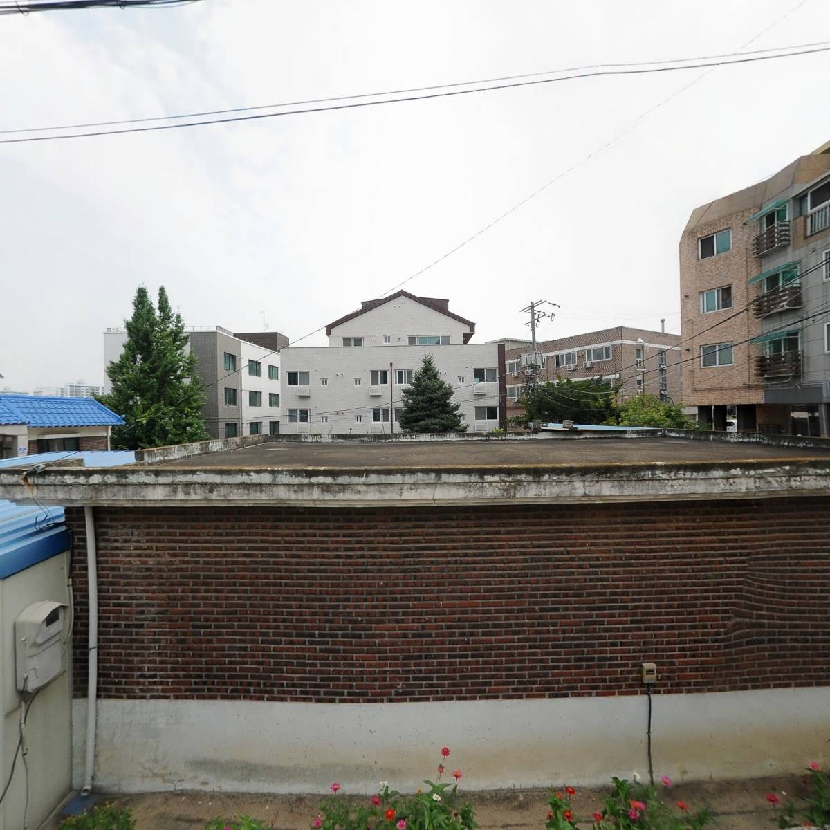 묘한쇼핑