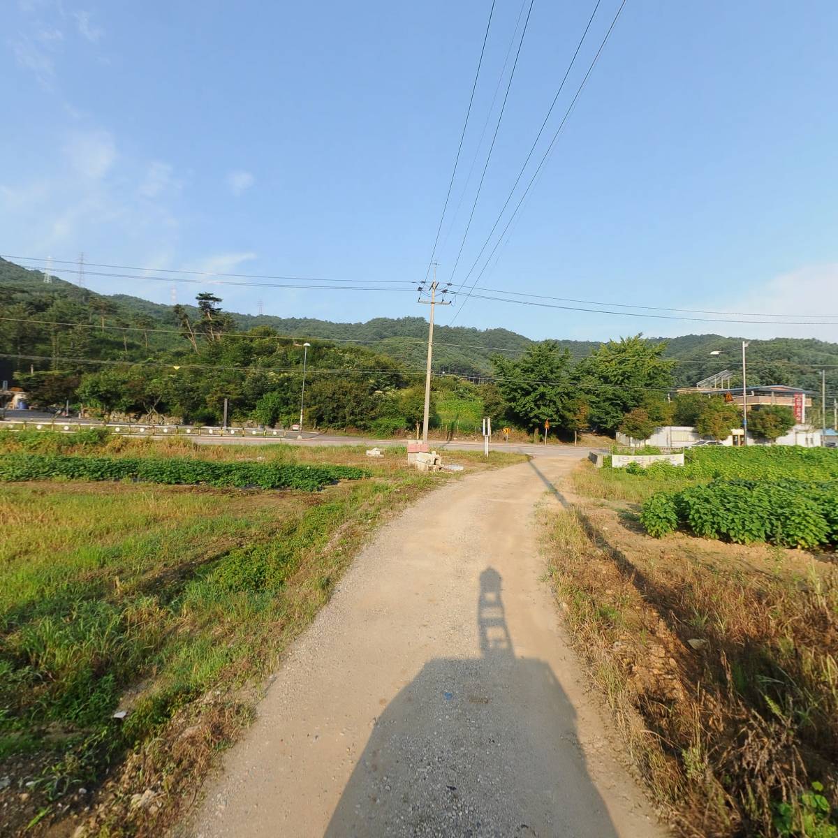 멜팅_2