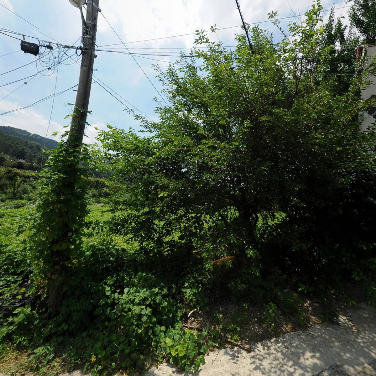 오성글로벌(OH-Seung Golbal)_3