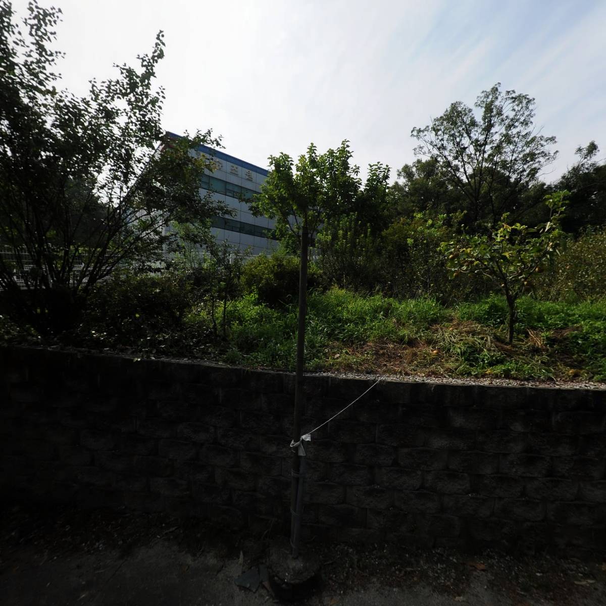 주식회사 디아이코퍼레이션_3