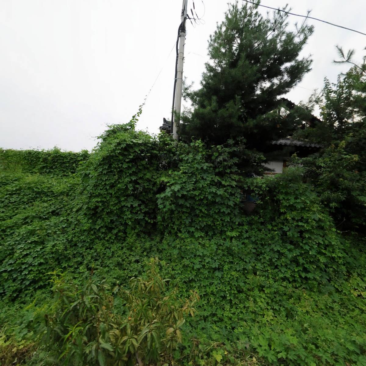 노드(Node)